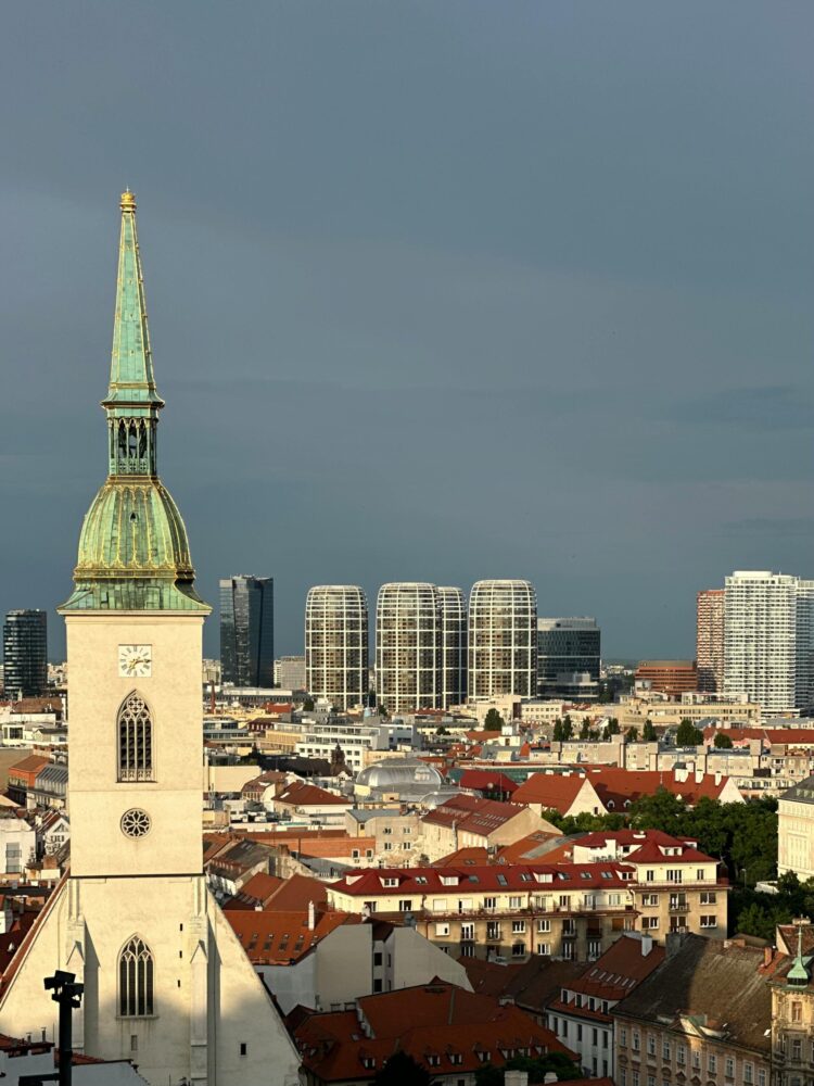 bratyslawa symbolizujaca e-commerce w slowacji